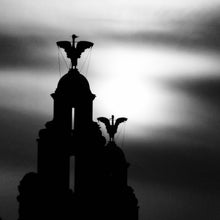 Load image into Gallery viewer, 17 - Liver Birds in Monochrome