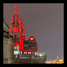 Load image into Gallery viewer, 60 - Liver Building in Red