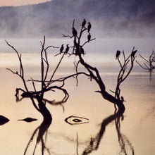 Load image into Gallery viewer, 29 - Arise and Shine, Pilanesberg National Park