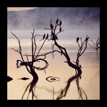 Load image into Gallery viewer, 29 - Arise and Shine, Pilanesberg National Park