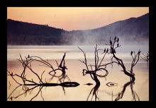 Load image into Gallery viewer, 29 - Arise and Shine, Pilanesberg National Park