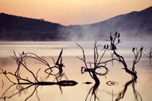 Load image into Gallery viewer, 29 - Arise and Shine, Pilanesberg National Park