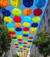 Load image into Gallery viewer, The Umbrella Project