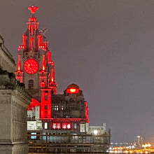 Load image into Gallery viewer, 60 - Liver Building in Red - 2020
